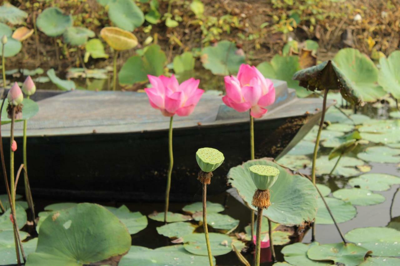 Thach Thao Homestay Mỹ Tho Esterno foto